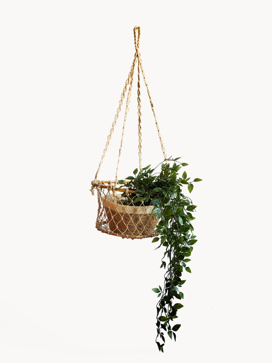Jhuri Single Hanging Plant Basket