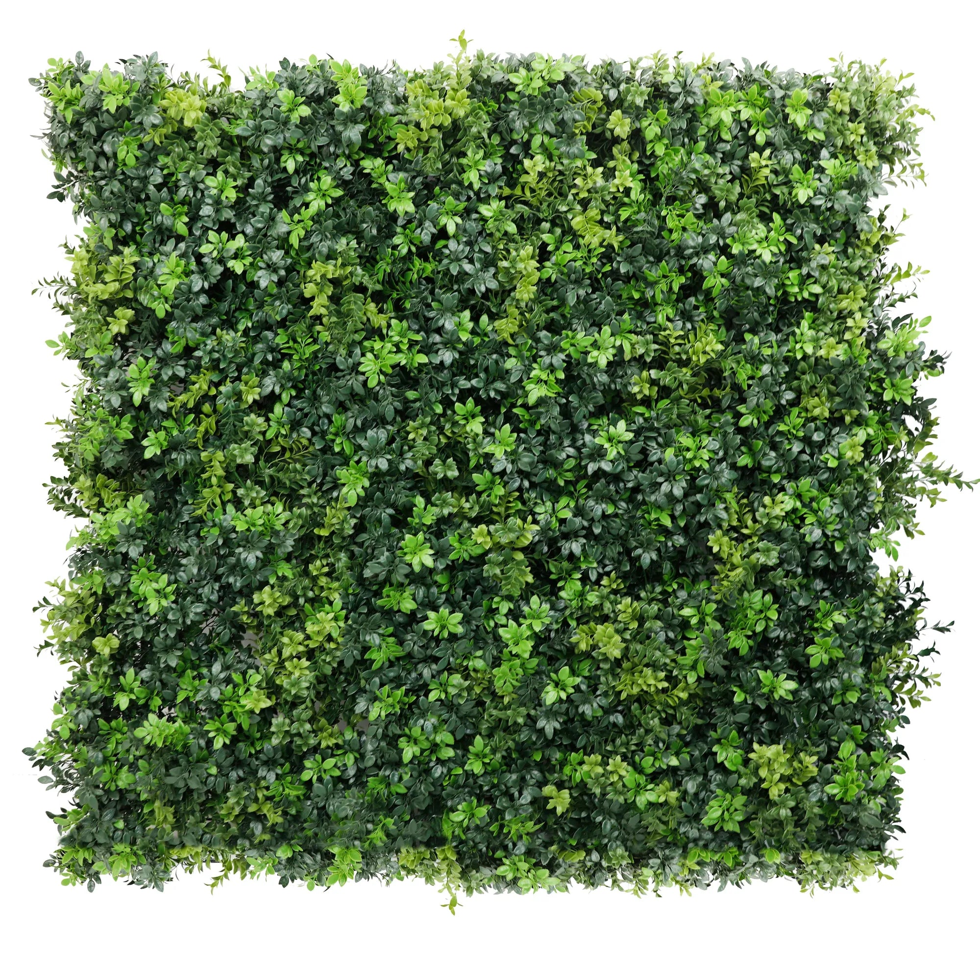 Mixed Green Ultra Dense Boxwood Artificial Vertical Garden Green Wall Panel 40×40in 11 SQ FT – NFPA701 Fire Rated – Metal Backed – UV Resistant – Commercial Grade
