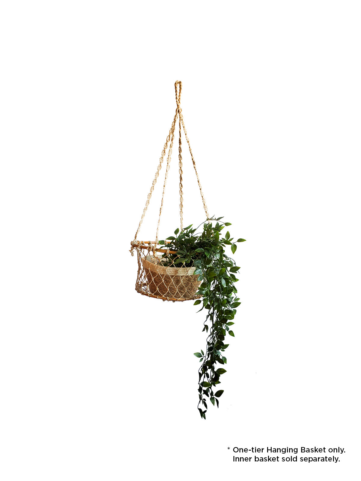 Jhuri Single Hanging Plant Basket
