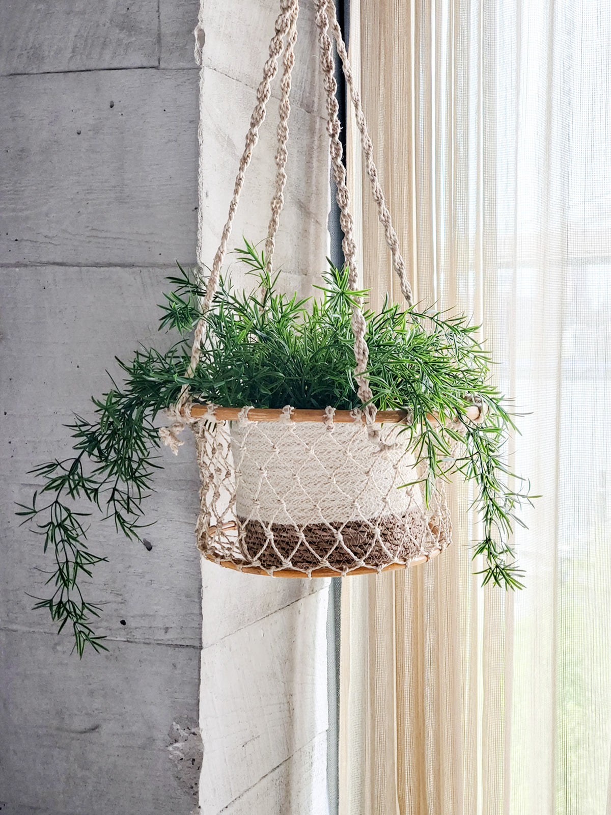 Jhuri Single Hanging Plant Basket