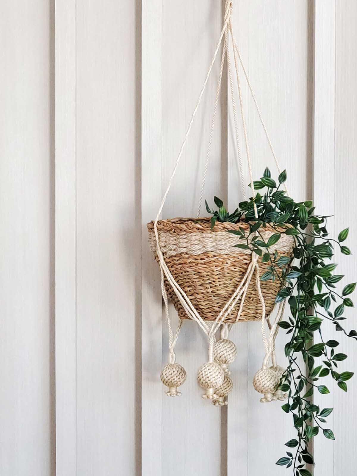 Kadam Hanging Plant Holder