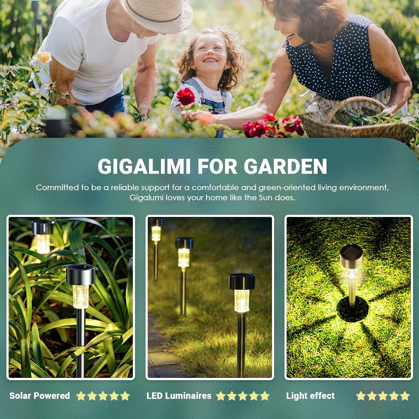 Solar Outdoor Lights