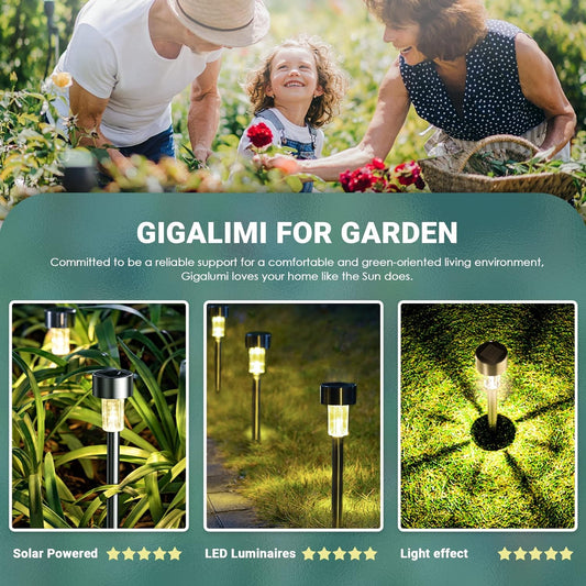Solar Outdoor Lights